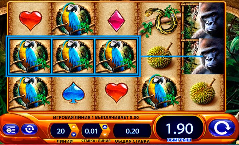 Amazon Queen Slot Machine Review