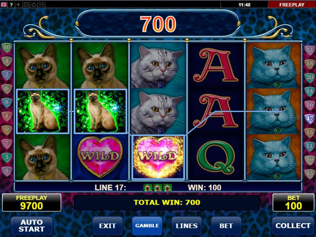 Diamond Cats Slot Machine Review