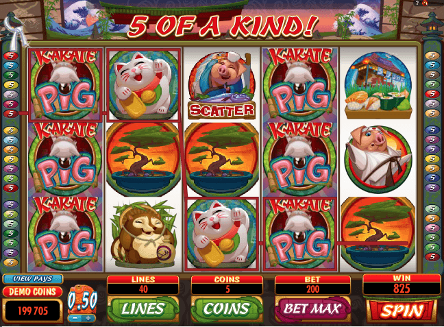 Karate Pig Slot Machine Online