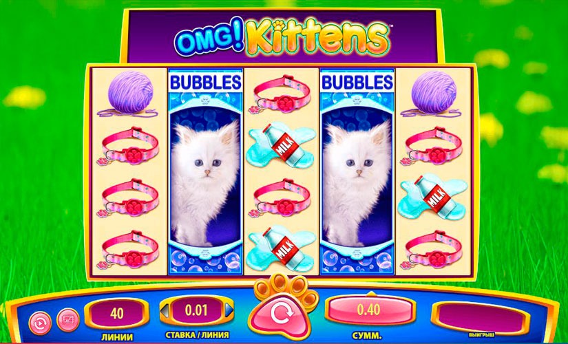 OMG! Kittens Slot Machine Review