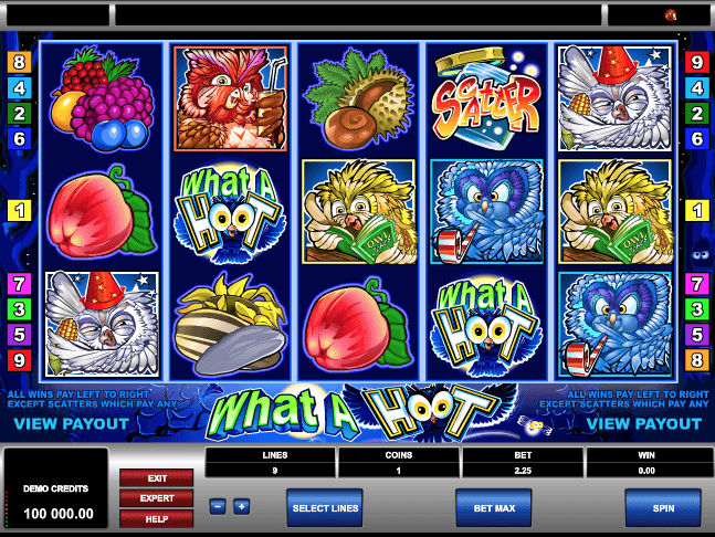 What A Hoot Slot Machine Online