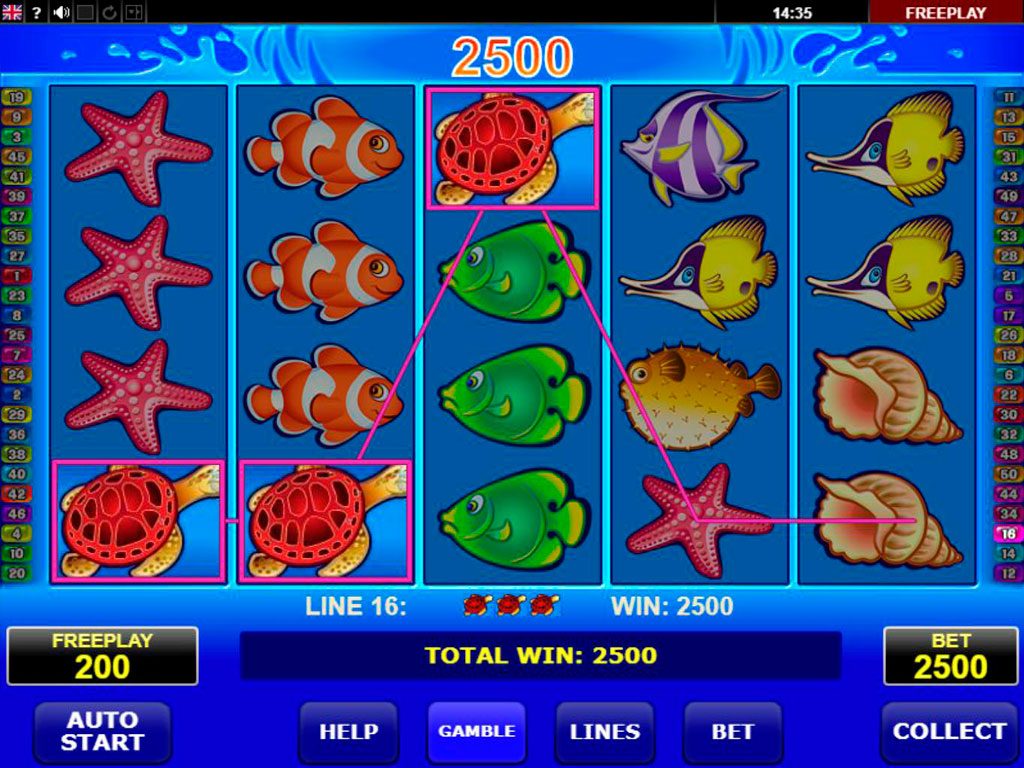 Wild Shark Slot Machine Review