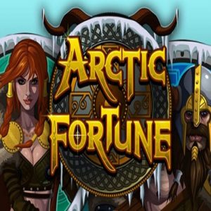 Arctic Fortune Slot Game