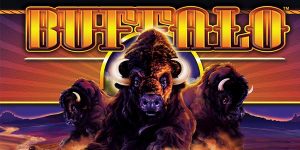 Play All Free Buffalo-Themed Slot Machines Online