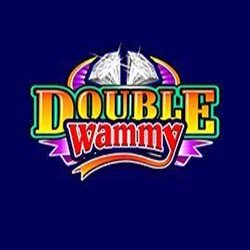 Double Wammy Slot Game