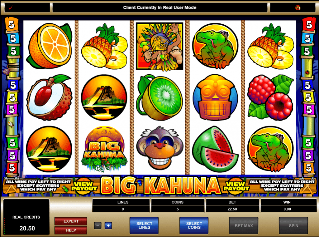 Big Kahuna Slot Game Online