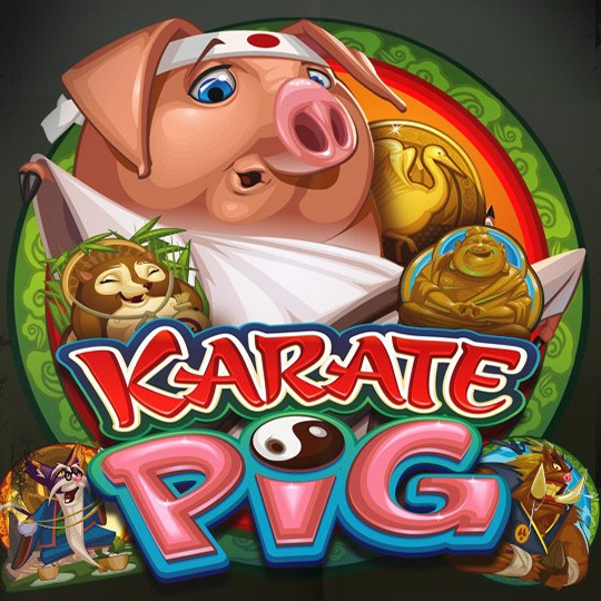 Karate Pig Slot Machine