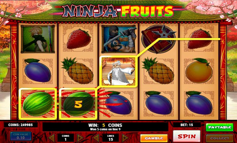 Ninja Fruits Slot Machine Review