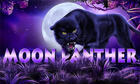 Play For Free Panther Moon Slot Machine Online