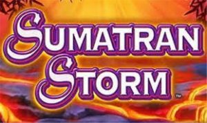 Play For Free Sumatran Storm Slot Machine Online