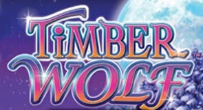 Play For Free Timber Wolf Slot Machine Online