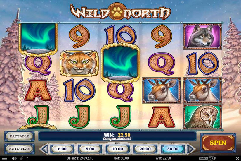 Wild North Slot Machine Review