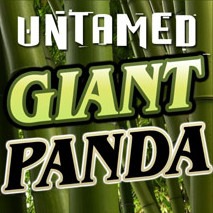 Untamed giant panda free slots