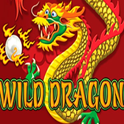 Wild Dragon Slot Machine