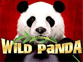 Play For Free Wild Panda Slot Machine Online