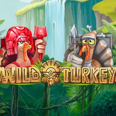 Wild Turkey Slot Machine Review